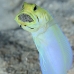 jawfish_yellowhead_oc_jar_v_0092_cub0593.jpg